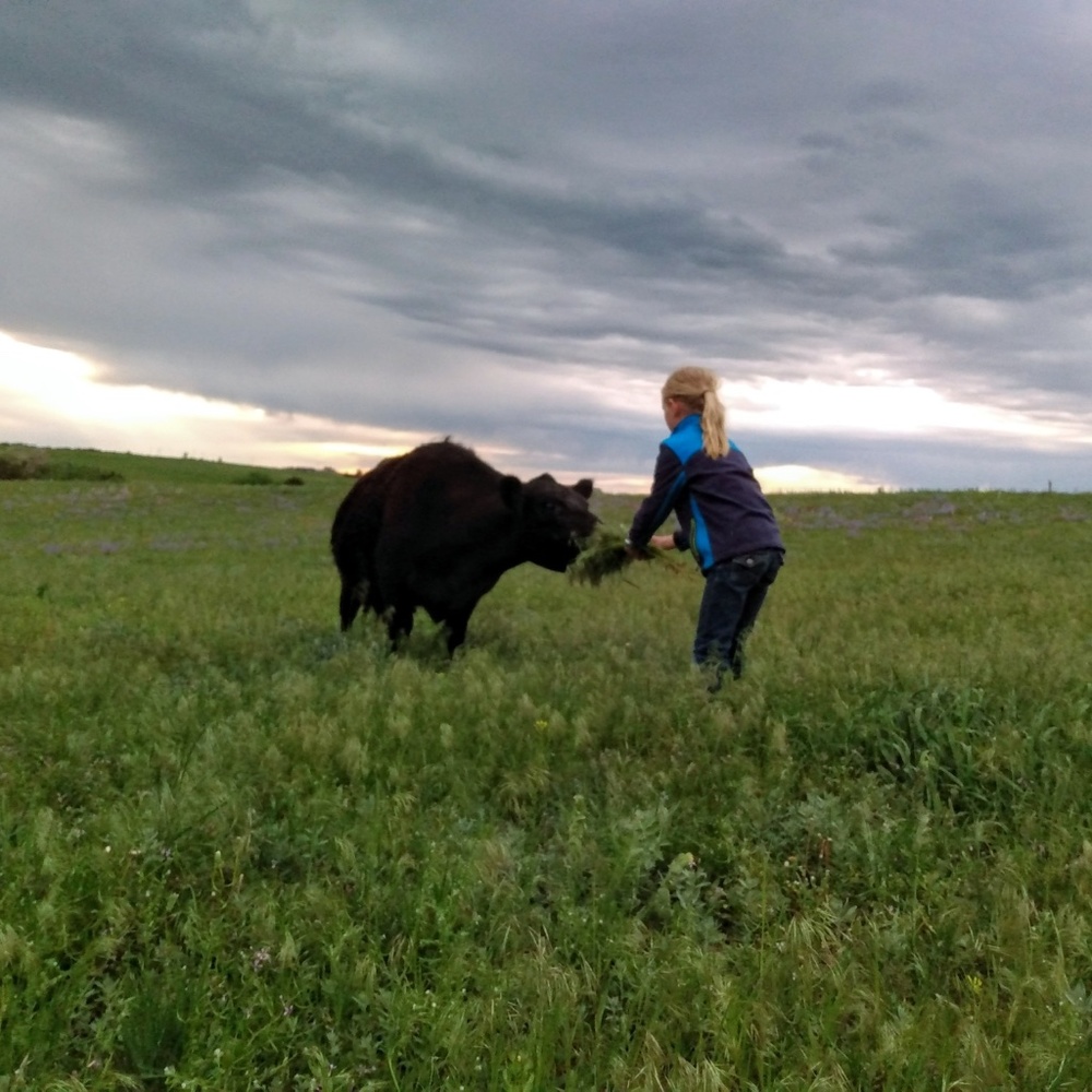 Meet your Posher, Joslin